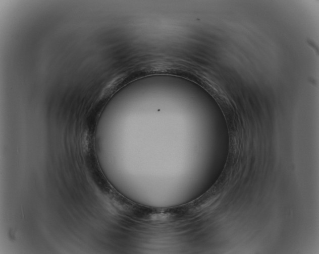 X0000092320216200709141057