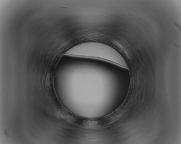 X0000092320217200709141057