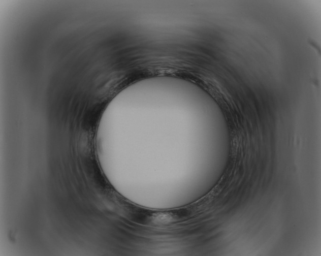 X0000092320218200709141057