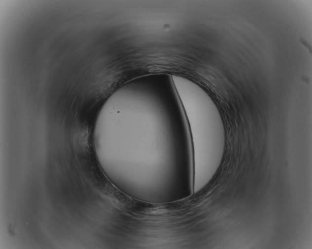 X0000092320219200709141057