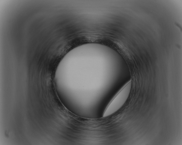 X0000092320221200709141057