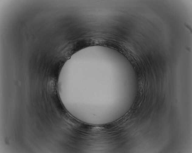 X0000092320222200709141057