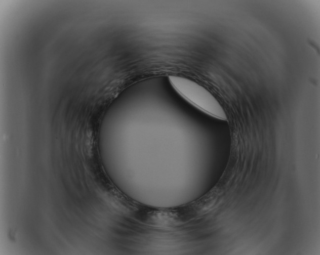 X0000092320223200709141057