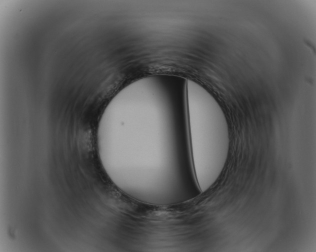 X0000092320224200709141057