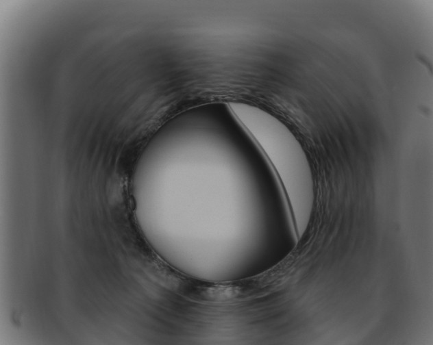 X0000092320225200709141057