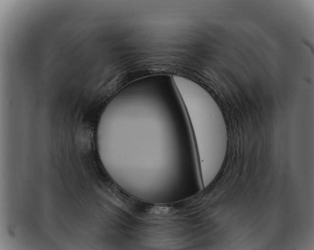 X0000092320227200709141057
