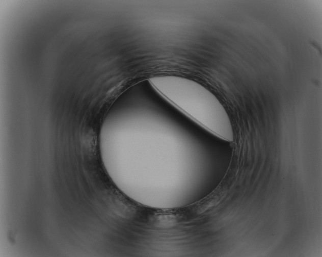 X0000092320228200709141057