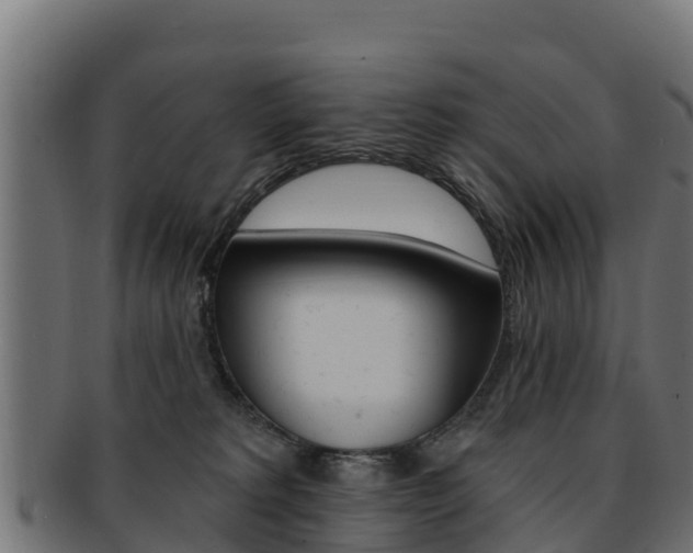 X0000092320229200709141057