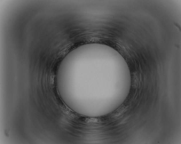 X0000092320230200709141057