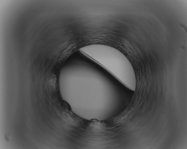 X0000092320231200709141057