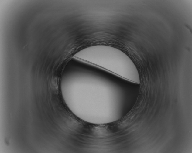 X0000092320232200709141057