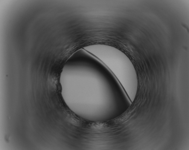 X0000092320235200709141057