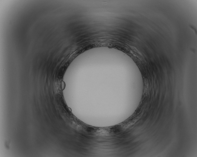 X0000092320236200709141057