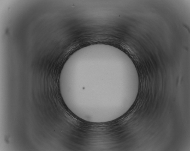 X0000092320237200709141057