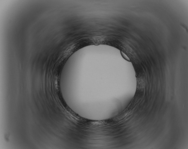 X0000092320238200709141057