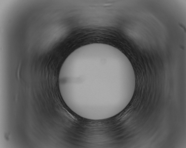 X0000092320239200709141057