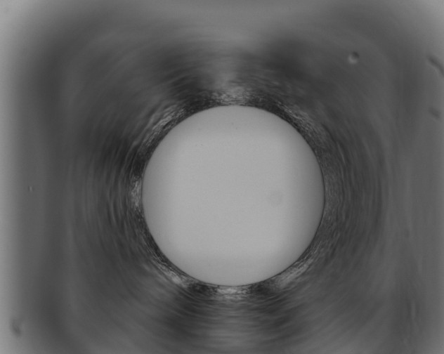 X0000092320240200709141057