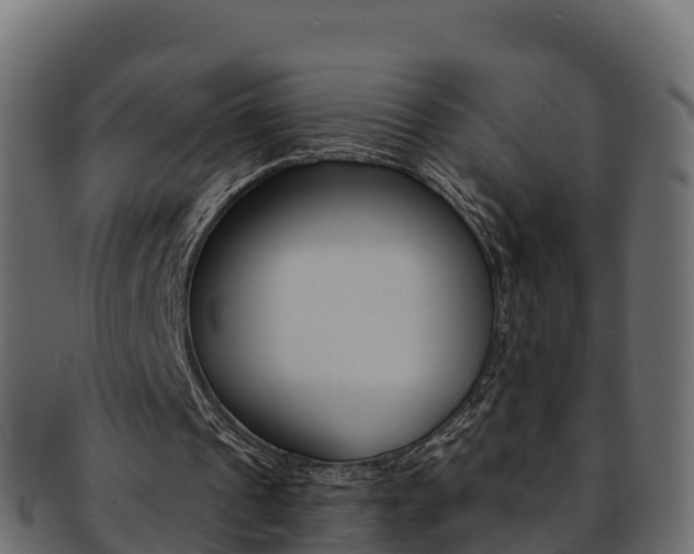 X0000092320241200709141056