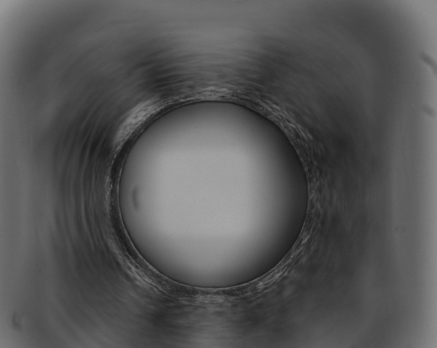 X0000092320242200709141056