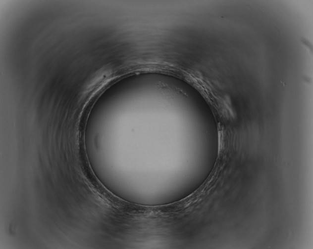X0000092320243200709141056