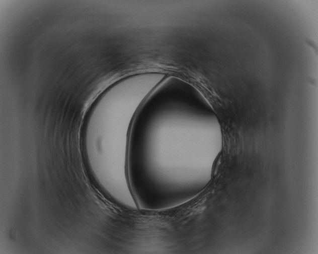 X0000092320244200709141056