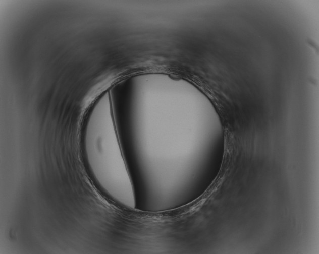 X0000092320245200709141056