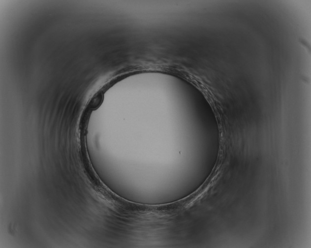 X0000092320246200709141056