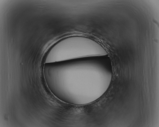 X0000092320247200709141056