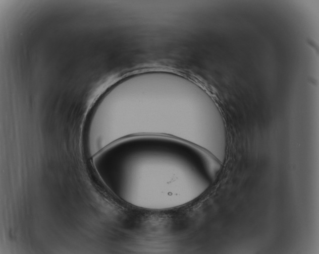 X0000092320248200709141056