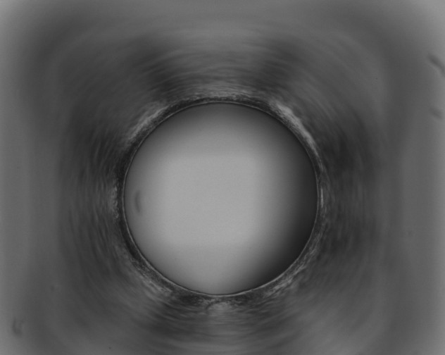 X0000092320249200709141056