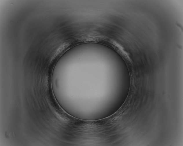 X0000092320250200709141056