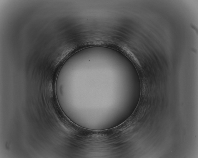 X0000092320251200709141056