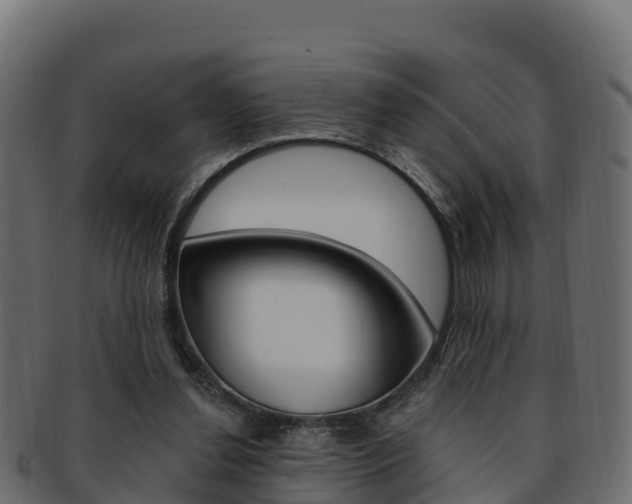 X0000092320252200709141056