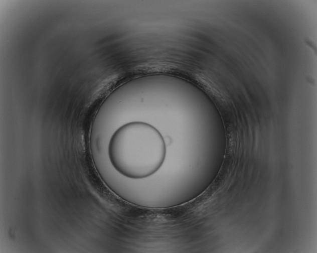 X0000092320254200709141056