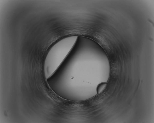 X0000092320255200709141056