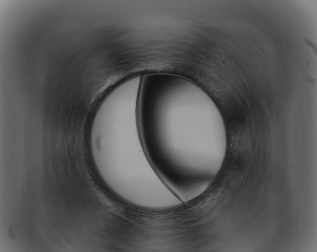 X0000092320256200709141056