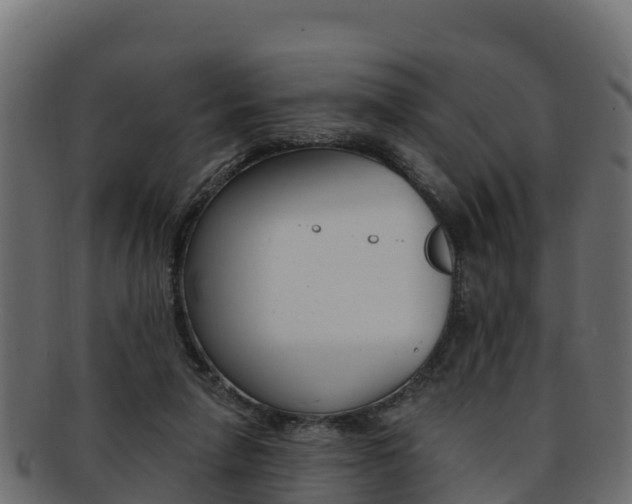 X0000092320258200709141056