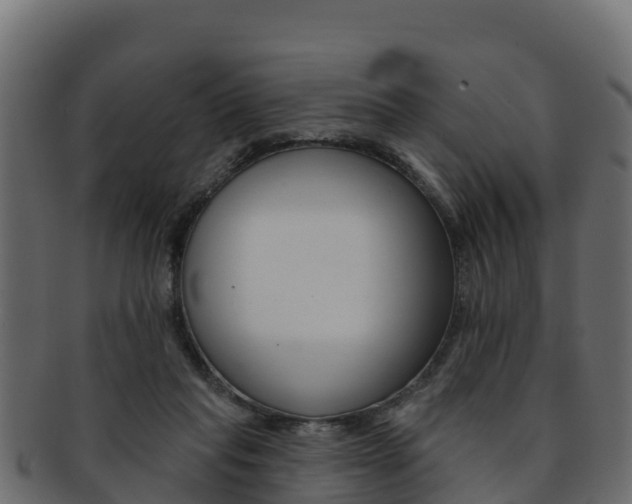 X0000092320261200709141056