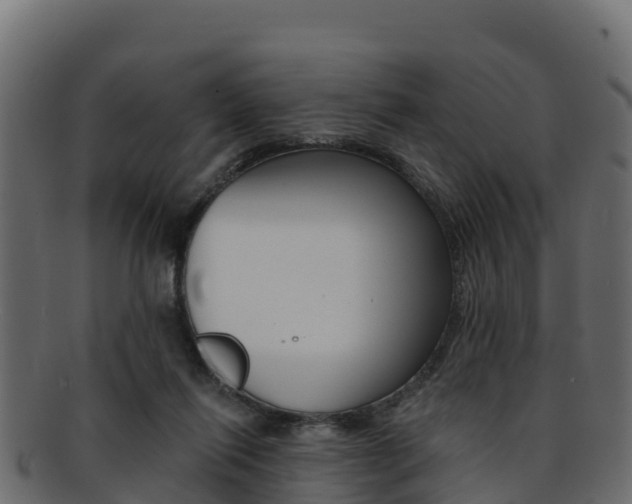 X0000092320262200709141056