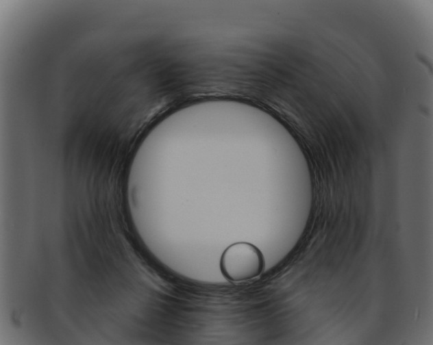 X0000092320264200709141056
