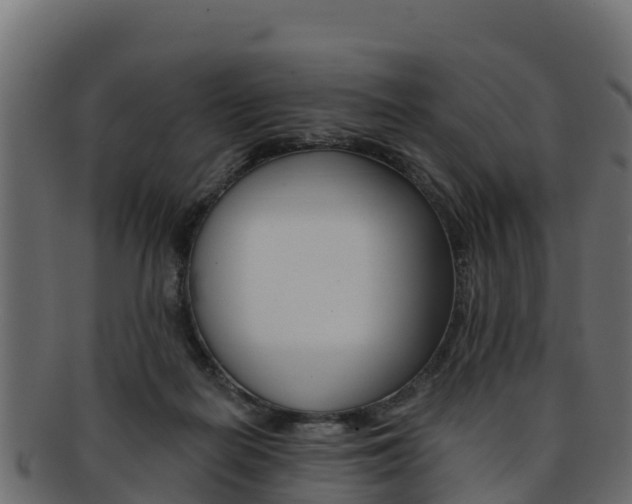 X0000092320266200709141056