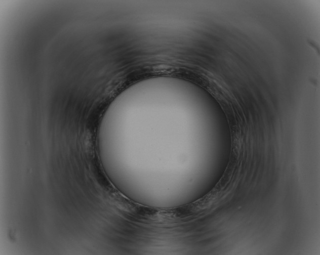 X0000092320270200709141057