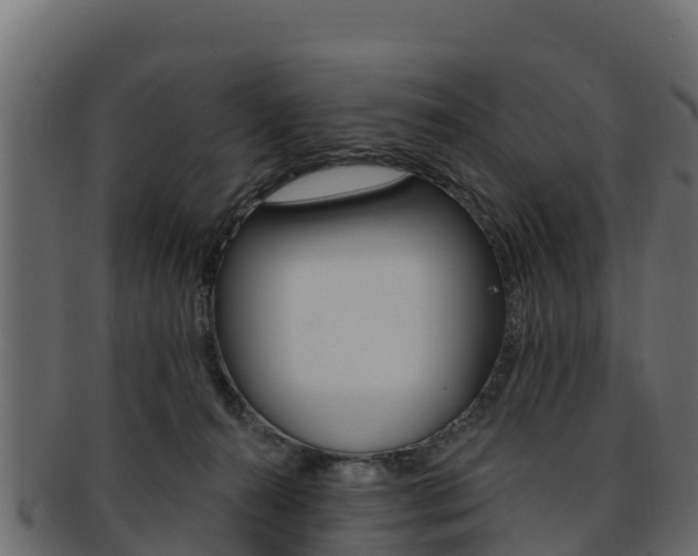 X0000092320272200709141057
