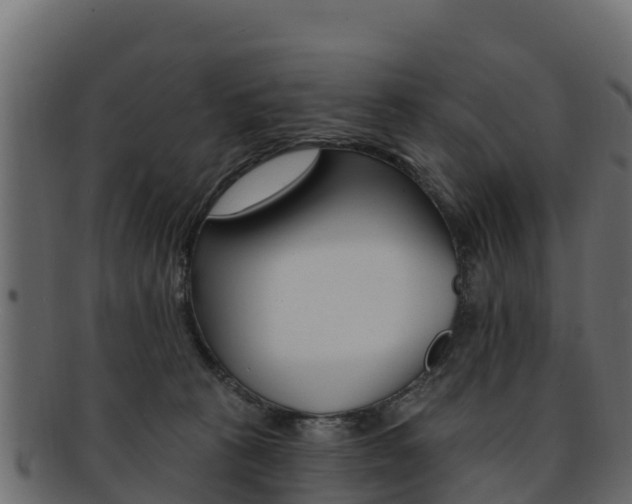 X0000092320273200709141057