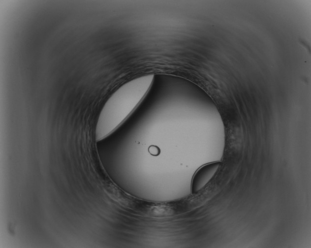 X0000092320275200709141057