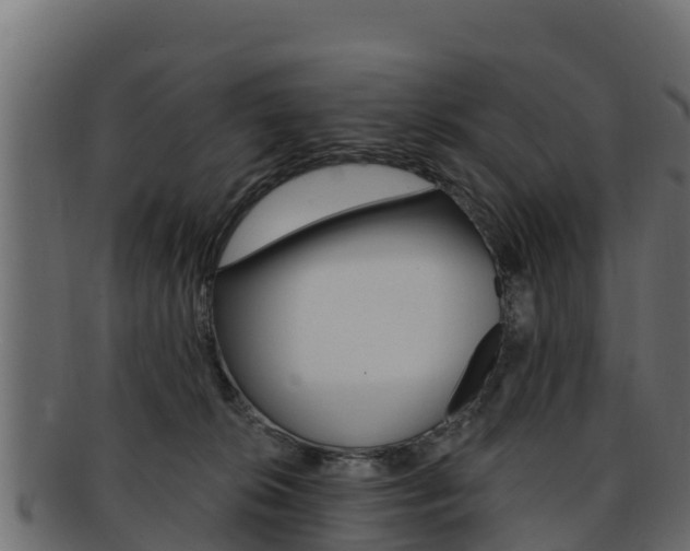 X0000092320276200709141057