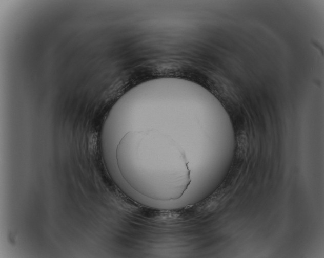 X0000092320278200709141057