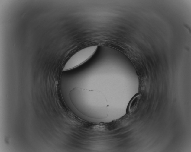 X0000092320279200709141057