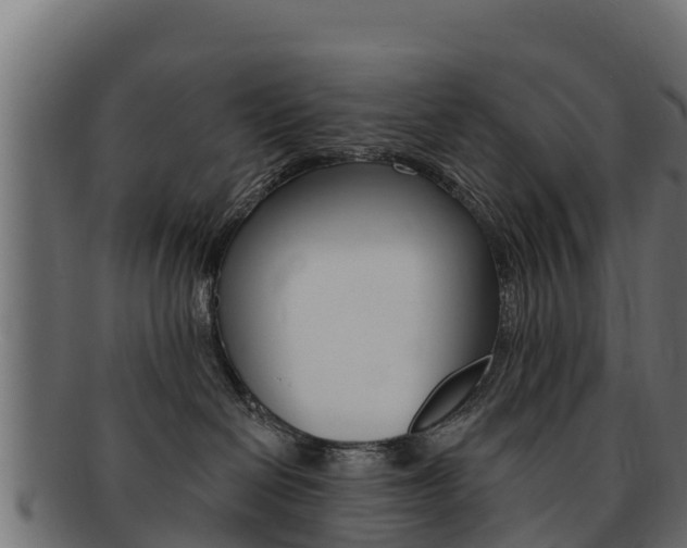 X0000092320286200709141057