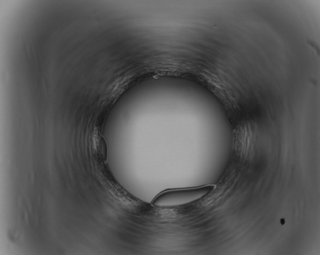 X0000092320287200709141057